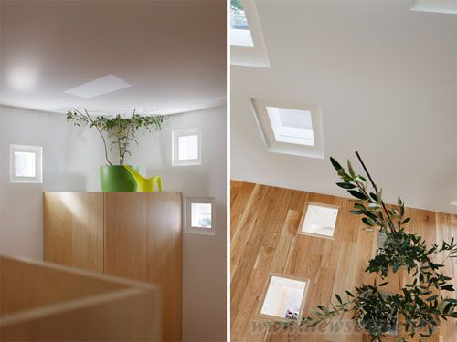 ձ@ͥOӋĐסլroomroom