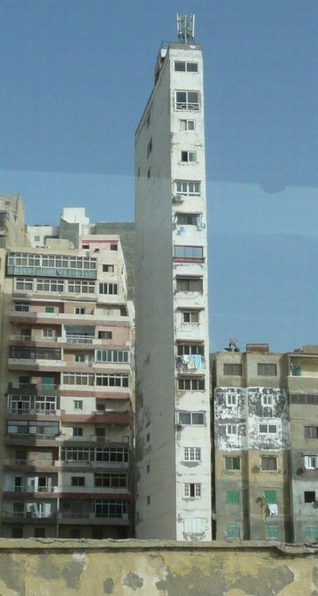 ȫݽw ľ